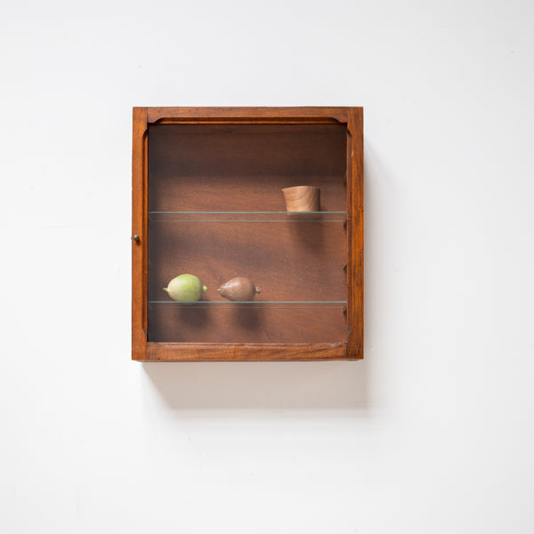Vintage Wall-Mounted Cabinet with Glass Door – Archeologie Studio